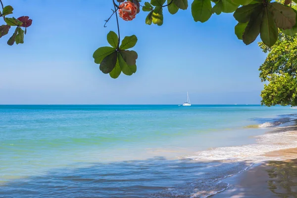 Playa Arena Blanca Isla Koh Chang Tailandia — Foto de Stock