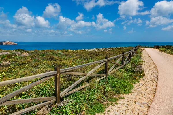 Algarve Sagres Portekiz Avrupa Kıyıları Görüntü Sagres Kıyılarında Yürüyüş Parkurları — Stok fotoğraf