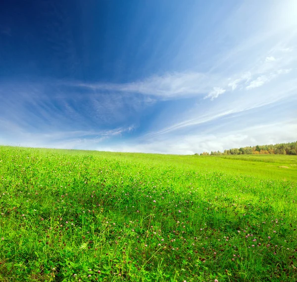 Green Hill Blue Cloudy Sky — Stock Photo, Image