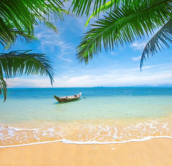 热带海滩 有椰子树 — 图库照片