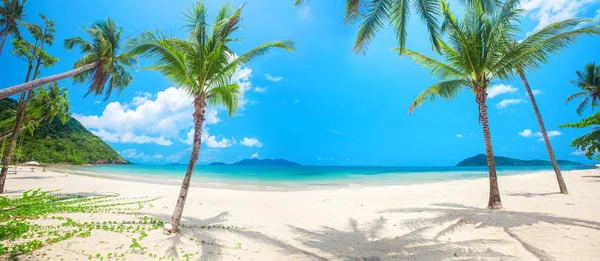 Panorama da praia tropical com coqueiro — Fotografia de Stock