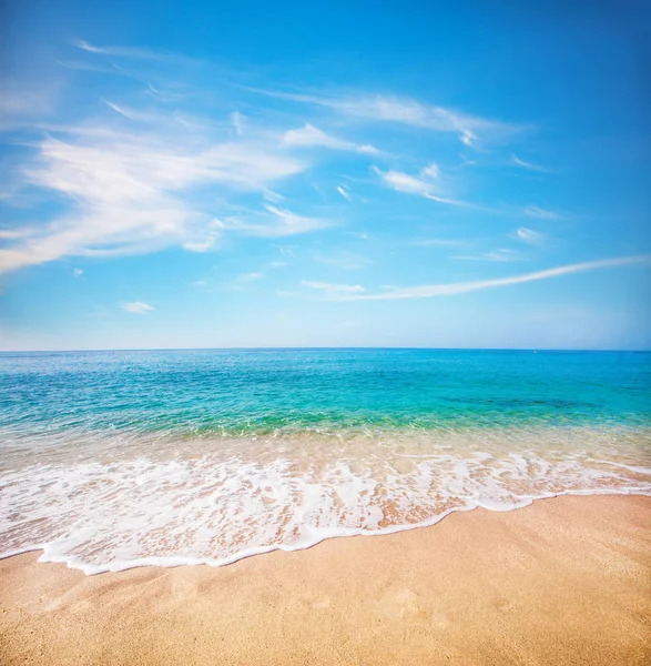Playa de arena y mar tropical —  Fotos de Stock