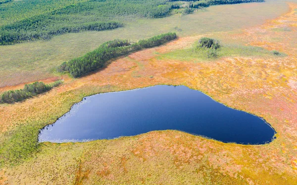 Belo lago de outono e vista aérea do pântano — Fotografia de Stock