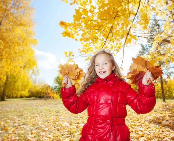 Κορίτσι Φθινόπωρο Παιδί Φύλλα Στο Πάρκο — Φωτογραφία Αρχείου