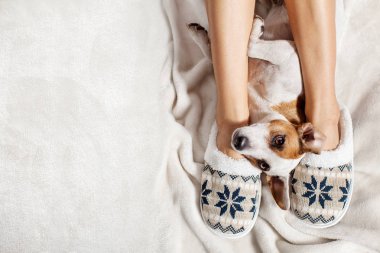 Kadın ile köpek terlik. Yumuşak rahat ev terlik