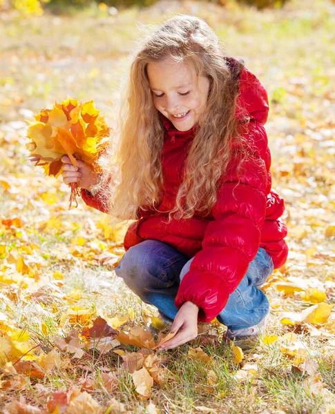 Chica Otoño Niño Con Hoja Parque — Foto de Stock