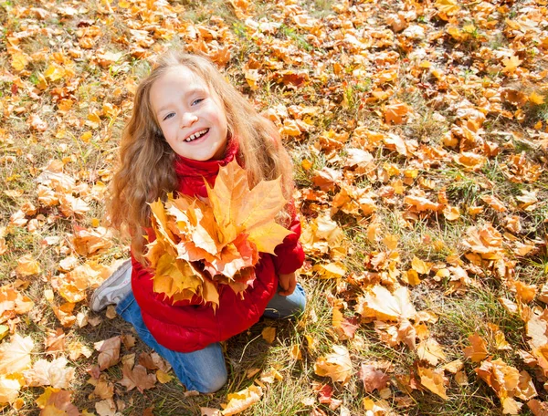 Девушка Осенью Ребенок Листьями Парке — стоковое фото