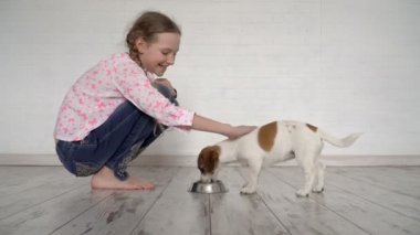 Çocuk bir köpek bir kaseden beslenir.