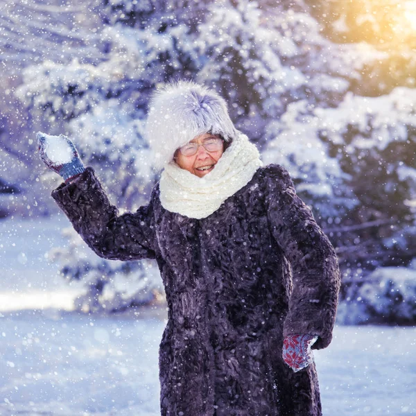 老妇人走在冬季公园 高级户外 — 图库照片