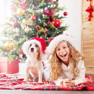 Noel ağacının yanında köpeği olan bir çocuk.