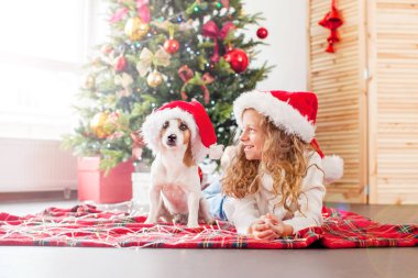 Noel ağacının yanında köpeği olan bir çocuk.