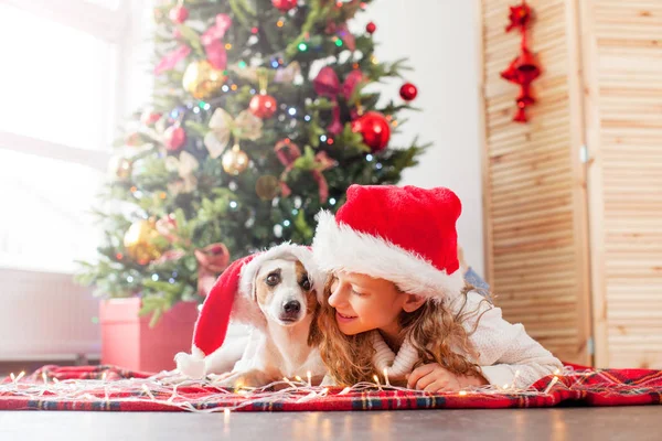 Noel ağacının yanında köpeği olan bir çocuk. — Stok fotoğraf