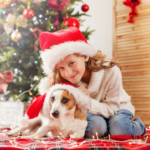 Kind met hond bij kerstboom — Stockfoto