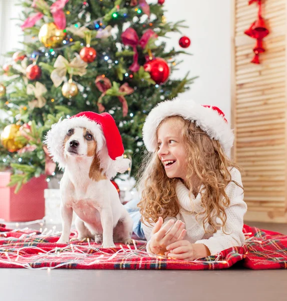 Enfant avec chien près de l'arbre de Noël — Photo