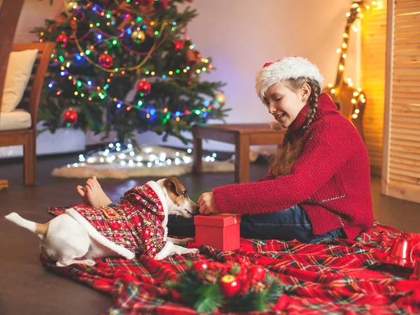 Lächelndes Mädchen mit Hund neben Weihnachtsbaum zu Hause — Stockfoto