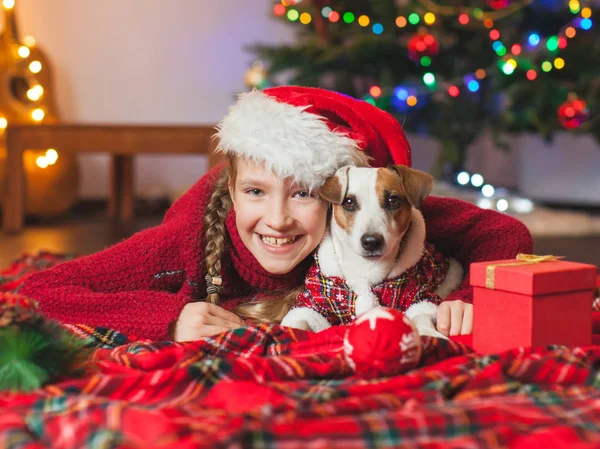 Lächelndes Mädchen mit Hund neben Weihnachtsbaum zu Hause — Stockfoto