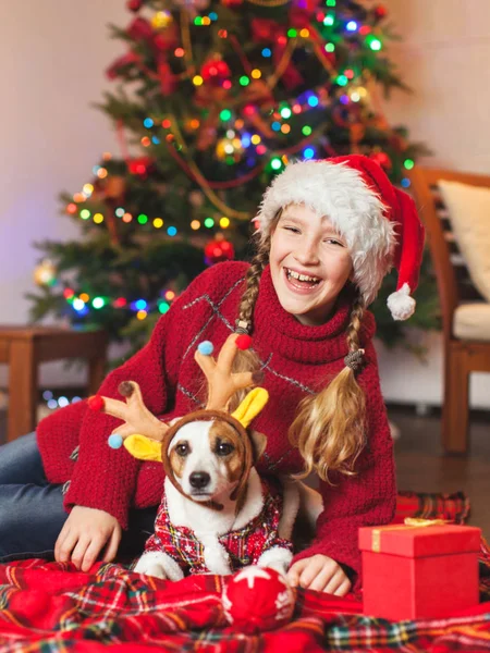 Gülümseyen kız köpekle birlikte evde Noel ağacının yanında — Stok fotoğraf