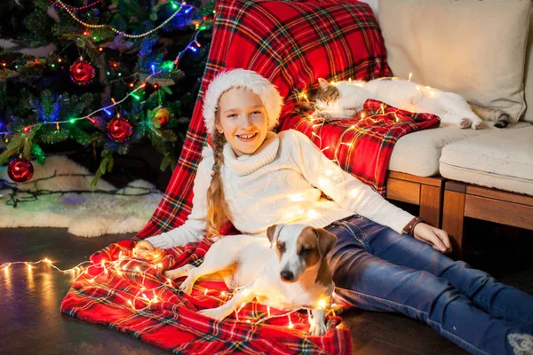 Leende Flicka Med Hund Och Katt Nära Julgran Hemma God — Stockfoto