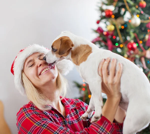 Glückliche Frau mit Hund in Weihnachtsdekoration — Stockfoto