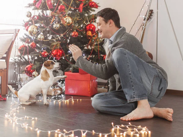 Mann mit Hund in der Nähe von Weihnachtsbaum — Stockfoto