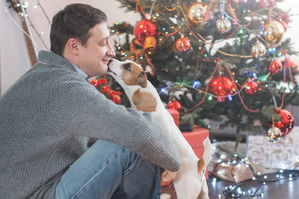 Mann mit Hund in der Nähe von Weihnachtsbaum — Stockfoto