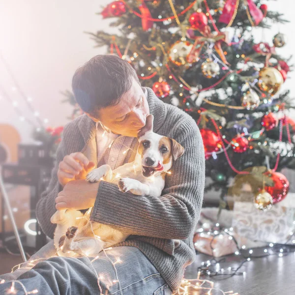 Mann mit Hund in der Nähe von Weihnachtsbaum — Stockfoto