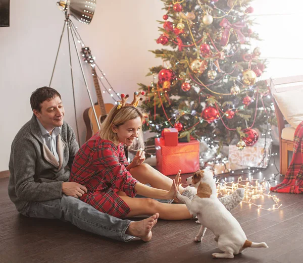 Paar mit Hund in der Nähe des Weihnachtsbaums — Stockfoto