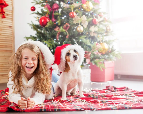 Ребенок с собакой возле рождественской елки — стоковое фото