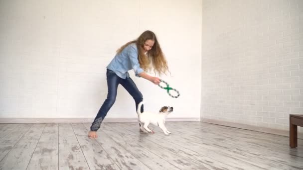 Criança brincando com seu cachorro em casa — Vídeo de Stock