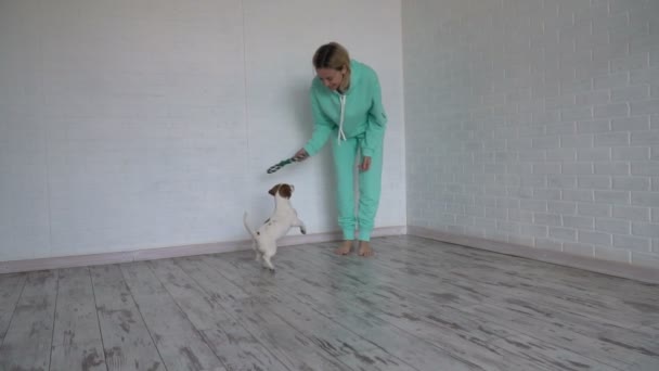 Kvinna leker med sin hund hemma — Stockvideo