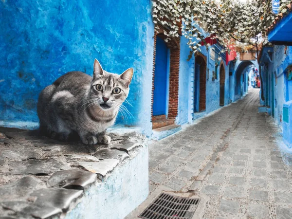 Chefchaouen Ville Bleue du Maroc — Photo