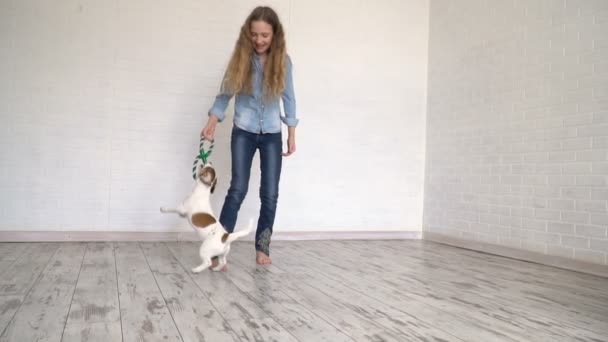 Barn leker med sin hund hemma — Stockvideo