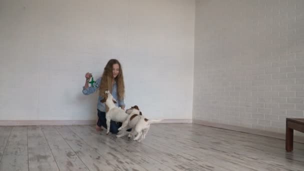 Barn leker med sin hund hemma — Stockvideo