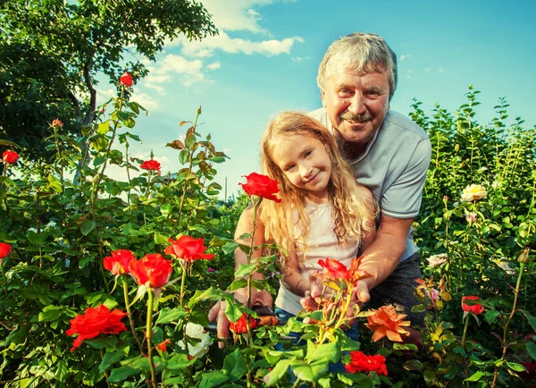 Homem witn criança cuidando de rosas no jardim — Fotografia de Stock