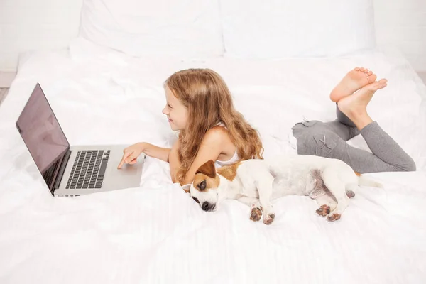 Παιδί και σκύλος με φορητό υπολογιστή — Φωτογραφία Αρχείου