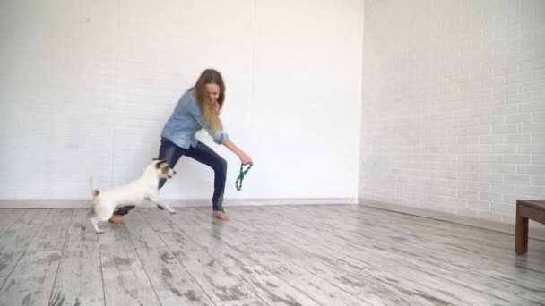 Barn leker med sin hund hemma — Stockvideo