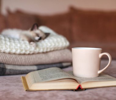 Ekose örgü üzerinde dinlenen kedi