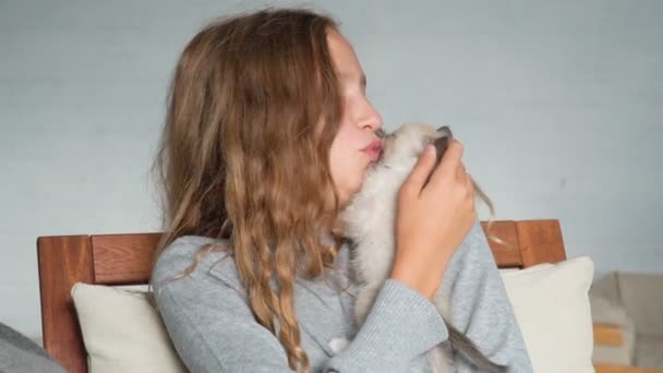 Hezká dívka si hraje s šedou kočkou doma — Stock video
