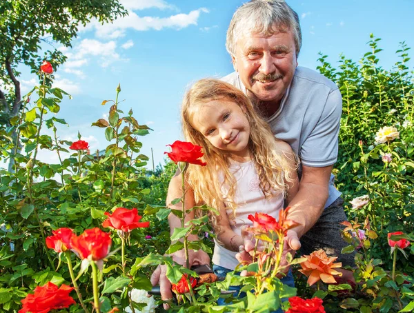 Homem witn criança cuidando de rosas no jardim — Fotografia de Stock