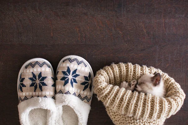 Slippers and knitted hat on warm floor — Stock Photo, Image