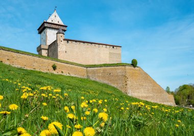 Hermann kalede ortaçağ kalesi. Narva, Estonya, Baltık ülkeleri, Europe