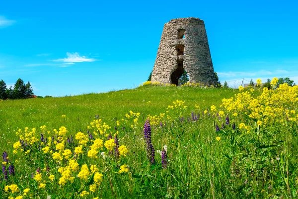 Ruins Old Windmill Tower Field Estonia Baltic States Europ — Stock Photo, Image