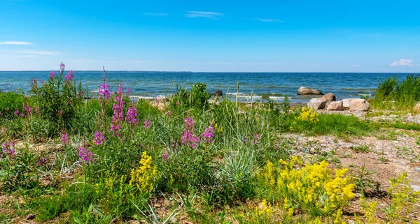 Vista Panorâmica Costa Mar Báltico Kaberneeme Estónia Europa — Fotografia de Stock