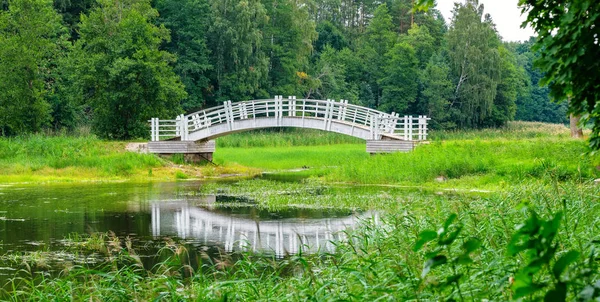 Witte Houten Brug Oud Park Alatskivi Estland Europa — Stockfoto