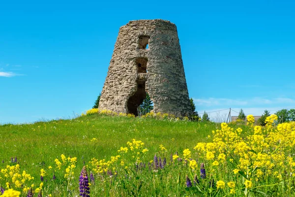 Ruines Vieille Tour Moulin Vent Sur Champ Estonie États Baltes — Photo