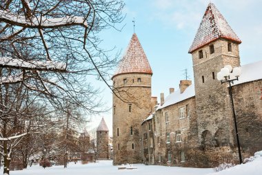 Şehir duvar ve kuleleri. Tallinn, Estonya