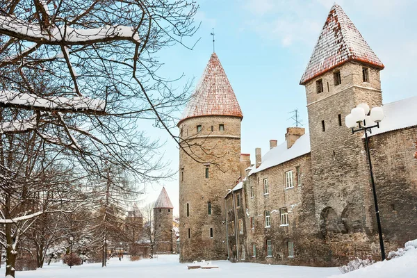 Parede da cidade e torres. Tallinn, Estónia — Fotografia de Stock