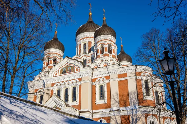 Catedral Alexander Nevsky. Tallin, Estonia — Foto de Stock