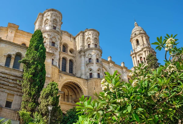 Malaga Cathedral. Malaga, Andalusia, Spain — Stock Photo, Image