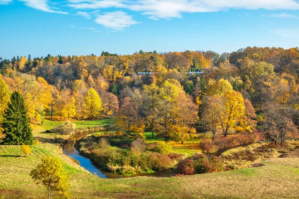 Осенний парк с желтыми деревьями. Тойла, Эстония — стоковое фото